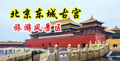 黑人大鸡巴操骚逼视频中国北京-东城古宫旅游风景区
